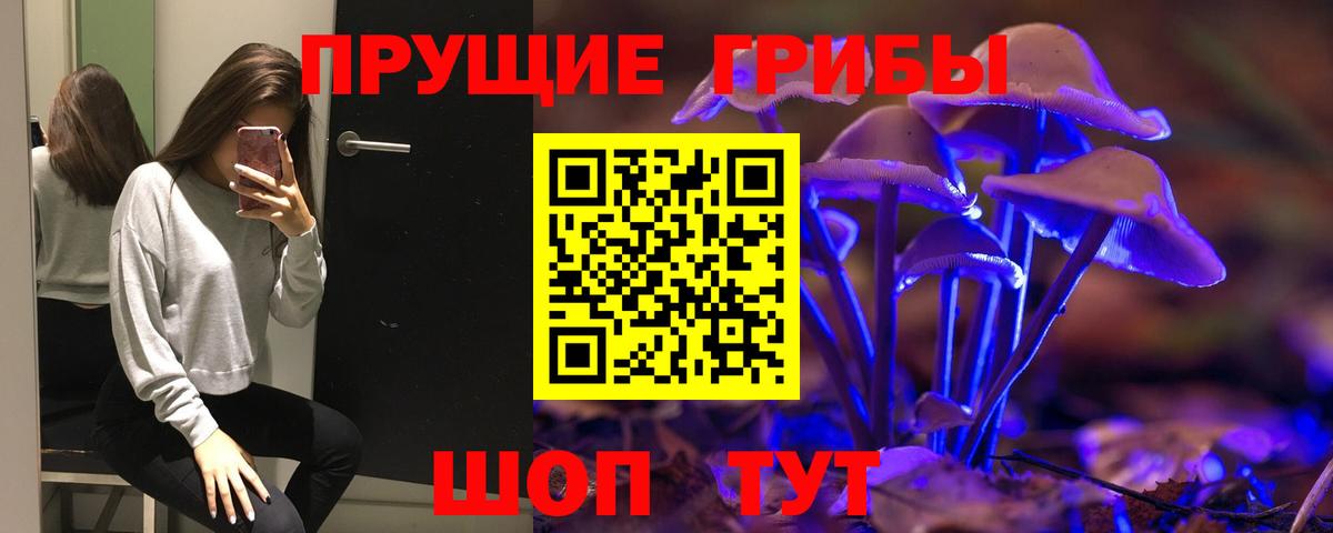 Псилоцибиновые грибы GOLDEN TEACHER  Вход с VPN  Шебекино 
